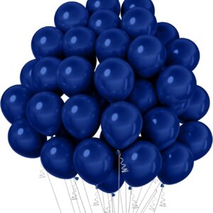 Navy Blue Balloons